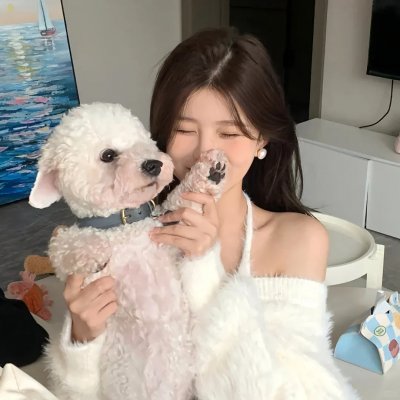 史酷比与精灵国王